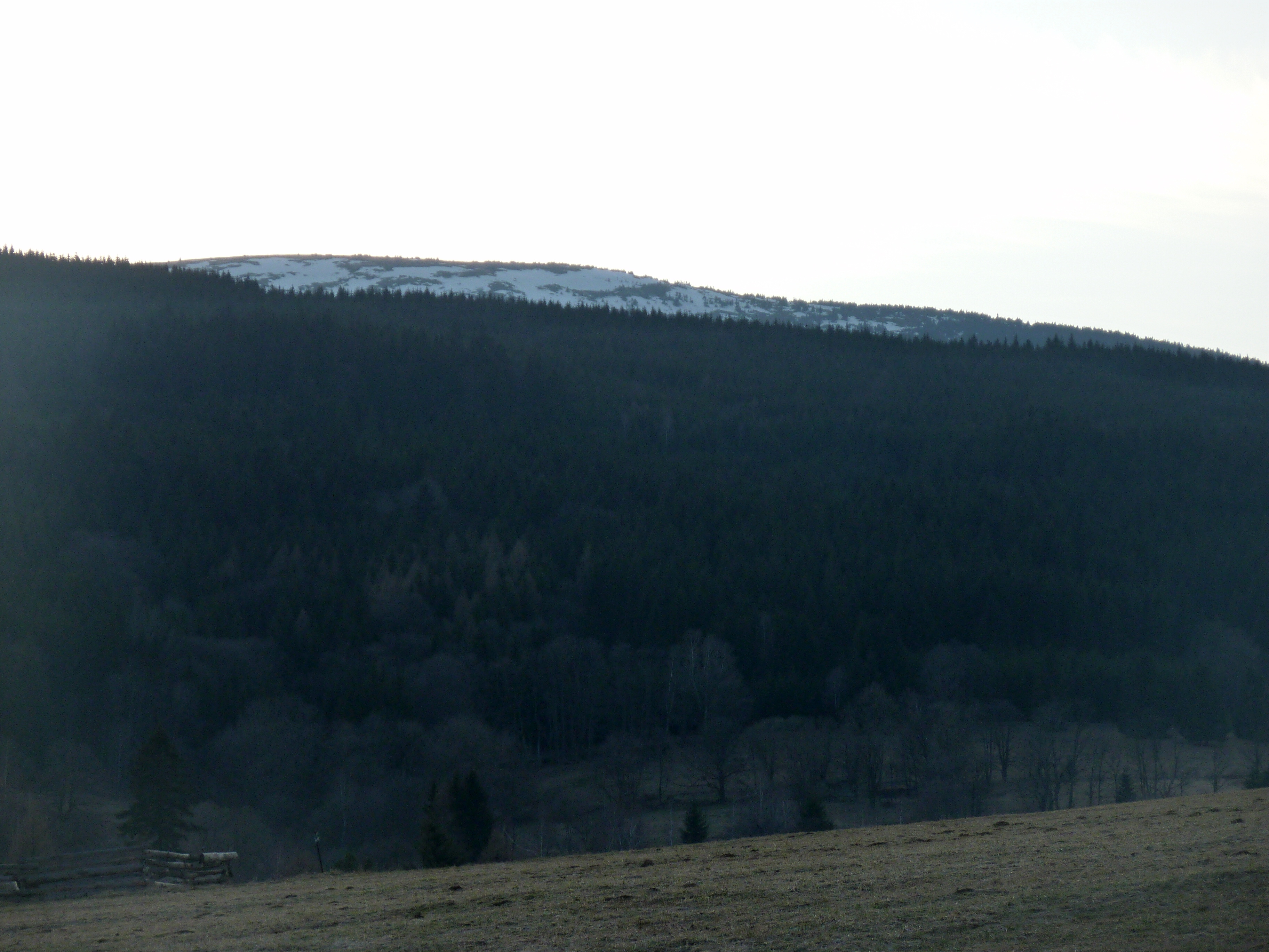 Králičák 1. - 3.4. 2011 (2)