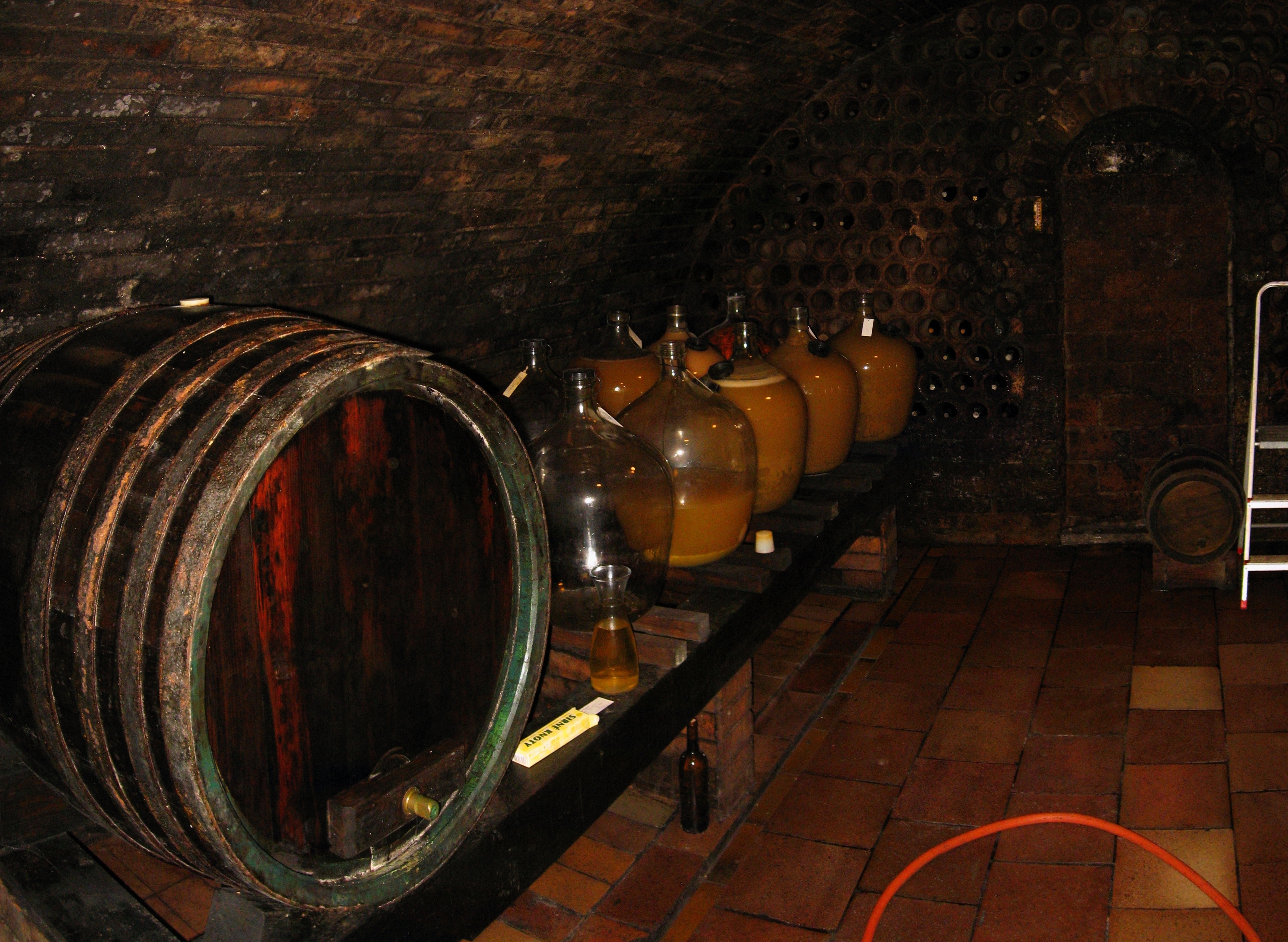 IMG_0877_panorama