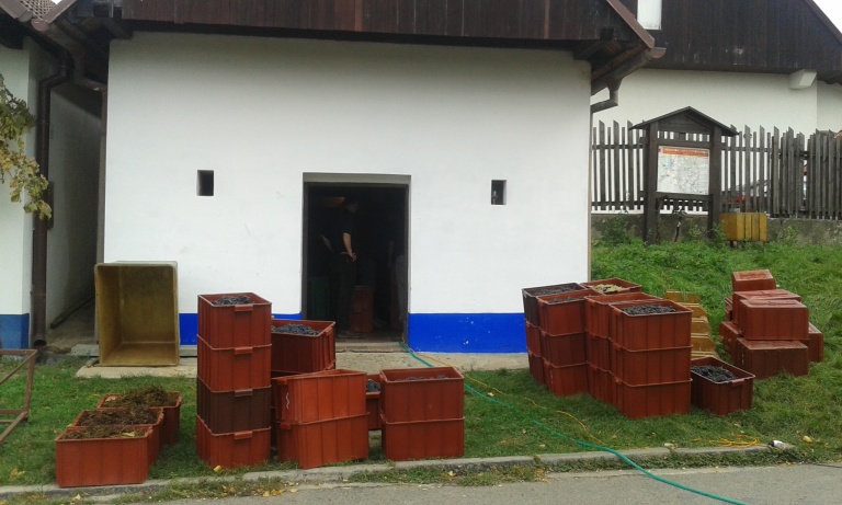 20141011_134037