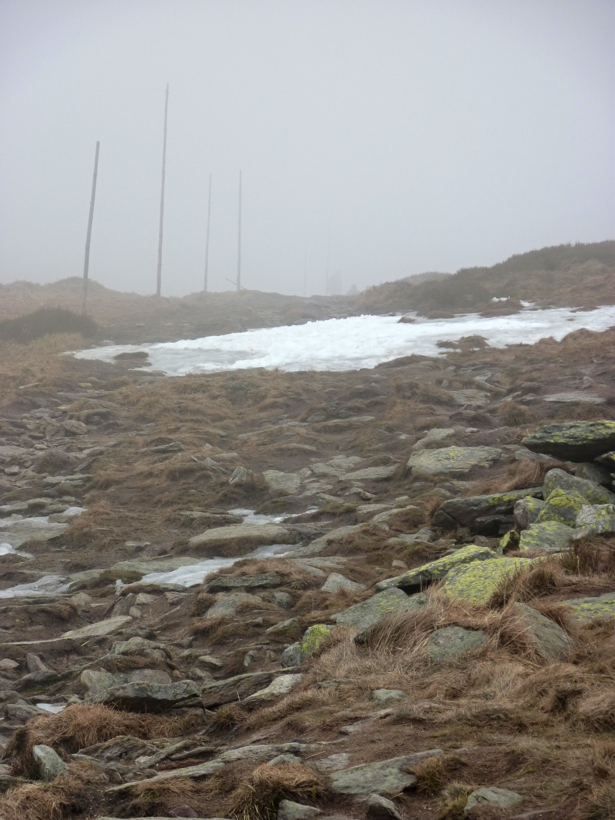 Králičák 1. - 3.4. 2011 (122)