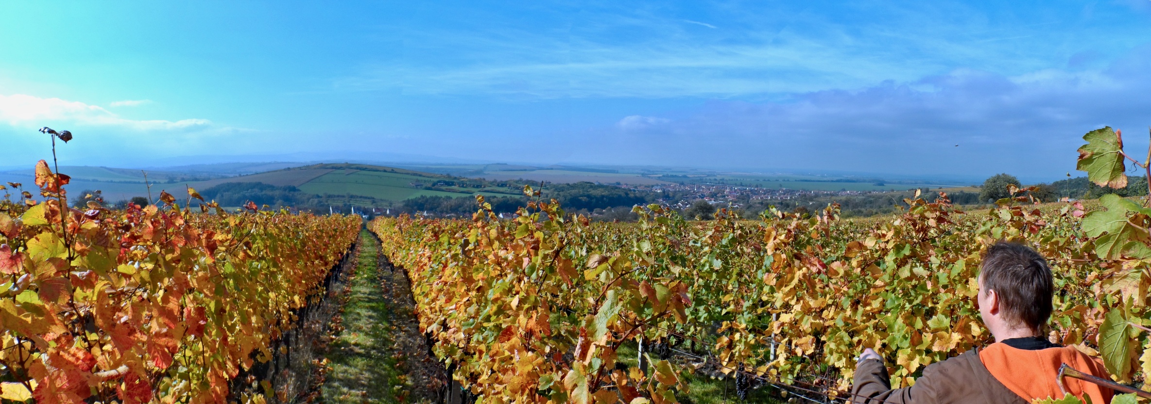 SAM_3640_panorama