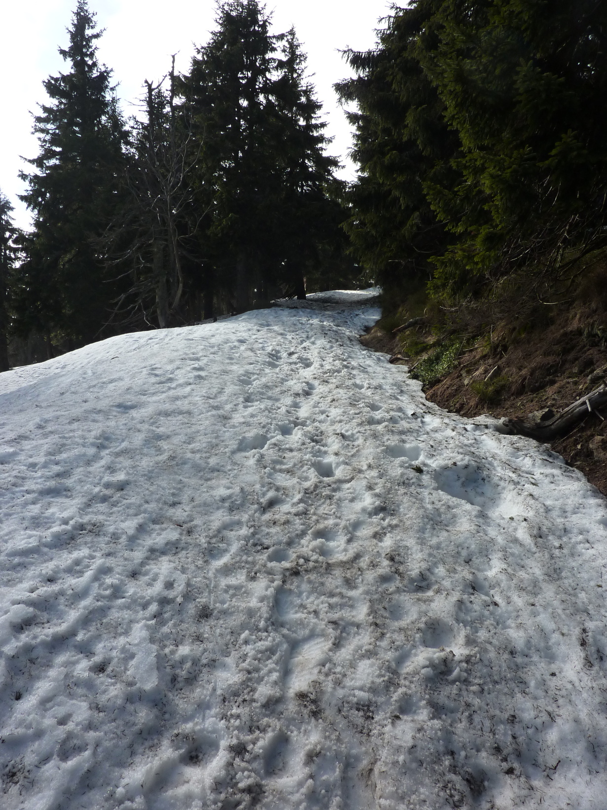 Králičák 1. - 3.4. 2011 (141)