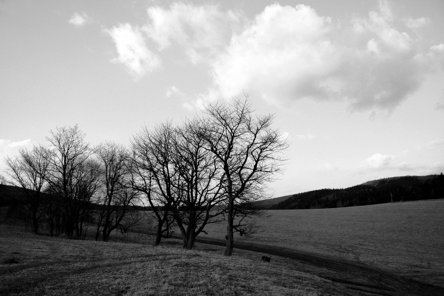 IMG_3858_X